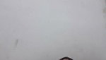 Horny Paki Babe Leaked Sex mms