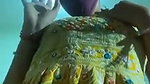 Hot Young Bhabhi Sucking And Fucking With Lover