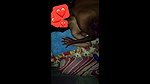 Married Village Bhabhi Hard Fucking Update Videos