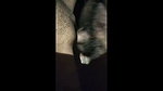 Sexy bf  gf having sex