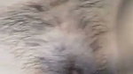 pakistani girl nude capture by boyfriend