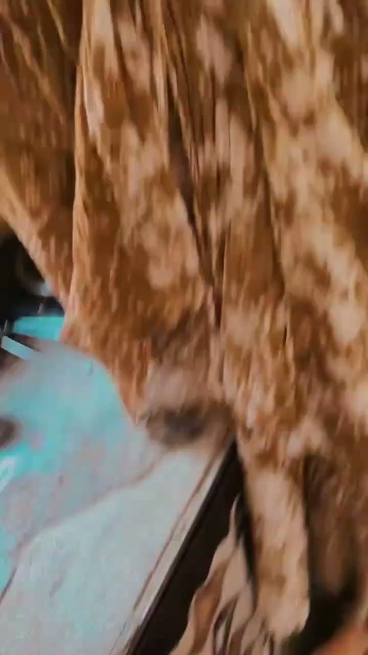 Frame 9