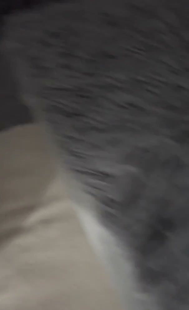 Frame 6