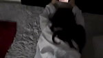 Boyfriend fuck his gf in Doggy style  cum on her