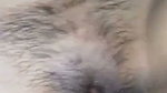 Girlfriend showing her pussy  fuck
