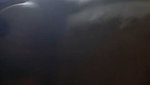 Sexy couple enjoying sex on live