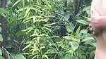 Sexy hot girlfriend  boyfriend enjoying in jungle