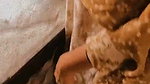 Sexy lady give Blowjob in kitchen room