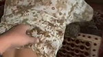 Sexy lady give Blowjob in kitchen room