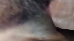 Tamil aunty fuck hairy pussy