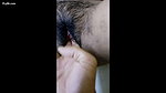 Hairy Bhabhi Pussy Fingered