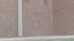 desi girl pissing on toilet
