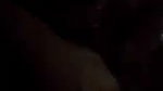 bj di gf ne