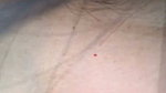 88pink 5 pussy fingering susu show nepali randi bhabhi