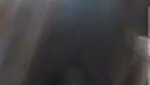 Bengali college show her sexy boobs on video call