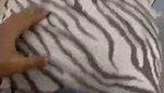 Indian Slim Gf Suking And Fucking Viral mms porn