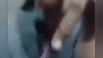 Indian Slim Gf Suking And Fucking Viral mms porn