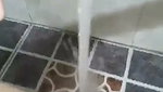 VID 20260707 WA0037