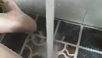 VID 20260707 WA0037