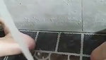 VID 20260707 WA0037