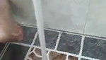 VID 20260707 WA0037