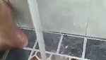 VID 20260707 WA0037