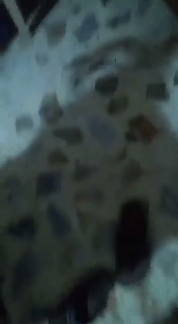 Frame 9