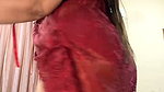 88pink 6 sexy boobs open dance nepali randi bhabhi