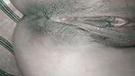 mallu bhabhi shows boobs and pussy 8