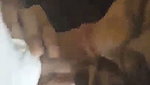 Hot girl giving Blowjob to his partner