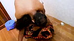 House owner son fuck his maid in bathroom