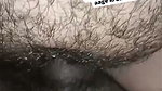 1000228548