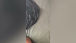 Alyx Star BBC Sex Tape PPV Video porn