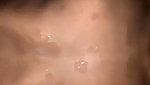 Desi Sexy Girl Hard Fucking With Boyfriend