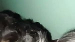 Indian Bhabhi Cry Sex XXX Porn Video mms