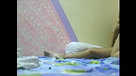 Indian desi girl ki chudayi bf ne ghar bula ke