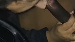 Passionate Indian blowjob of sexy chubby girl