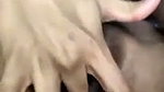 Tamil Kadija Webcam Sex viral video mms