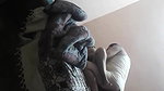 Filming My Real Brother Sex