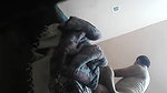 Filming My Real Brother Sex