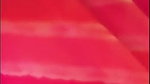 Telugu Bhabhi Anu tango hot public live
