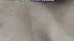 Kanak 05 face stripchat