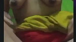 VID 20260707 WA0061