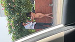 VID 20260707 WA0050
