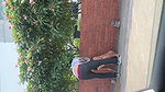 VID 20260707 WA0050