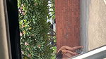 VID 20260707 WA0050