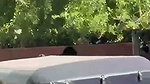VID 20260707 WA0047