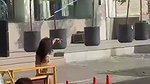 VID 20260707 WA0048