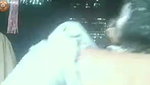 VID 20260707 WA0024