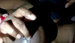 Sweet jasmine milking